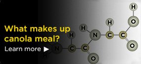 What makes up canola meal? Click to find out!