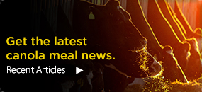 Get the latest canola meal news. Read our recent articles.