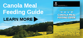 Canola Meal Feeding Guide 2024 - Canolamazing