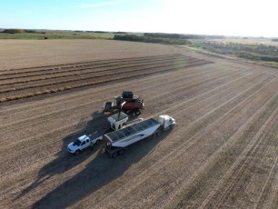 Canola harvest combine and truck
