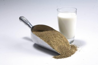 Canola meal in scoop and glass of milk