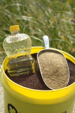 Canola seed meal and oil
