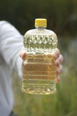Hand holding canola oil bottle