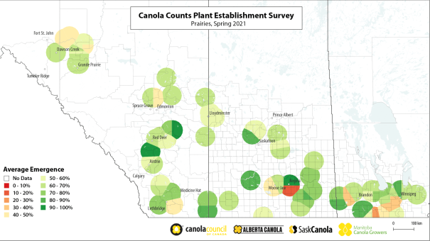 emergence-canola-counts-map-prairies