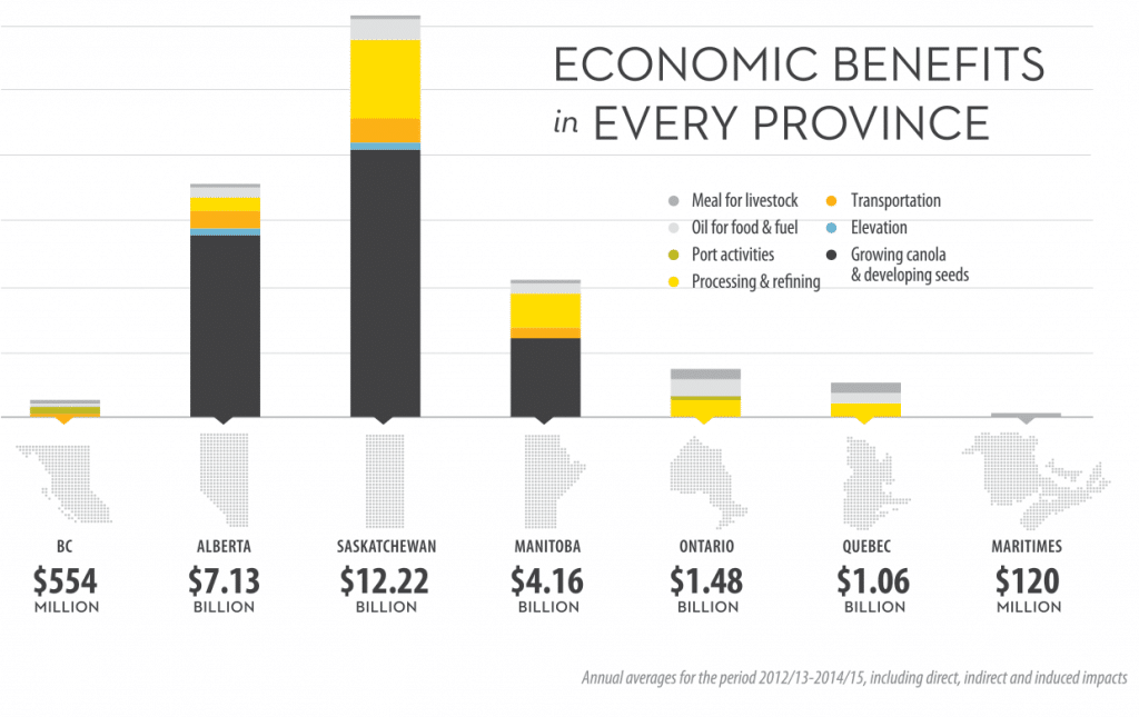 Graph showing the economic impact of canola in each Canadian province