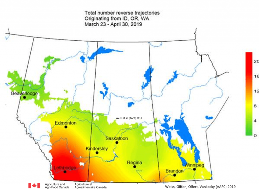 A reverse trajectory map for predicting aster leafhopper populations