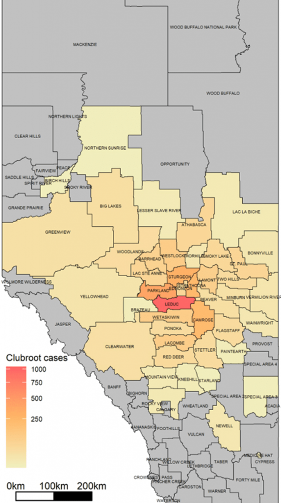 Alberta clubroot map