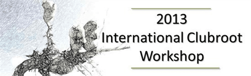 2013 International Clubroot Workshop (header image)