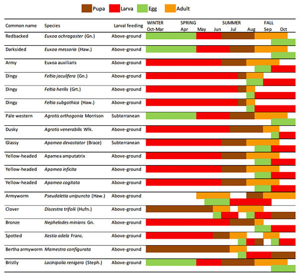 Life cycle descriptions of many Prairie cutworm species (chart)
