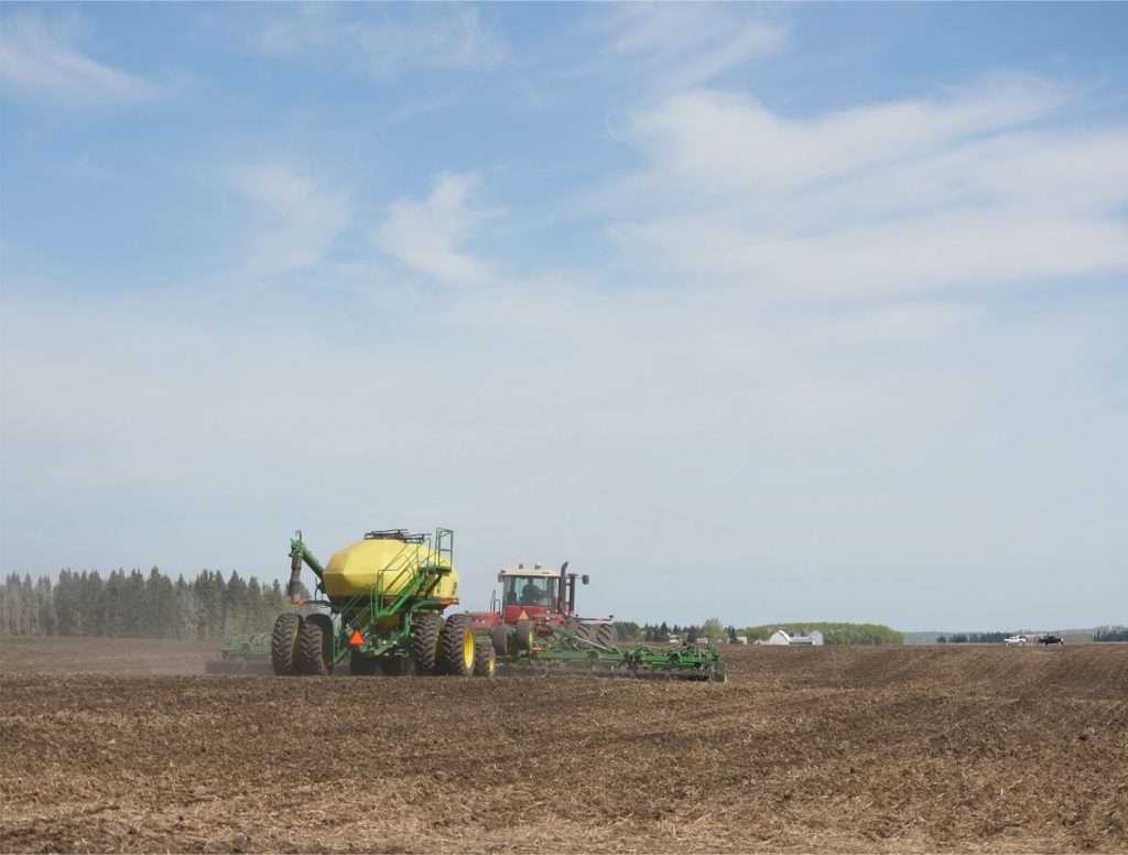 Seeding canola
