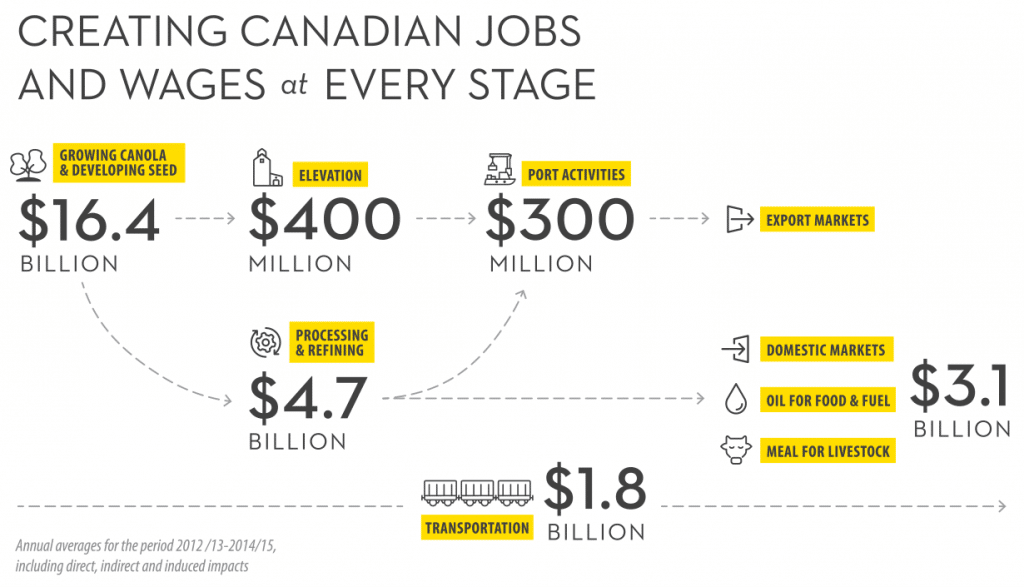 Graphic showing how different parts of the canola industry contribute to the Canadian economy