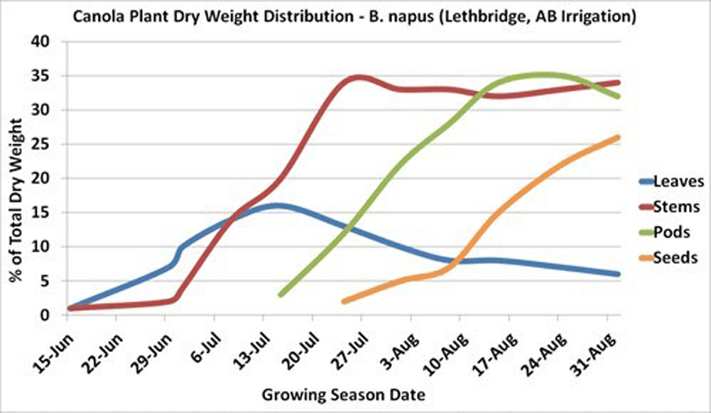 Canola (B. napus) plant dry matter production by structure, over time