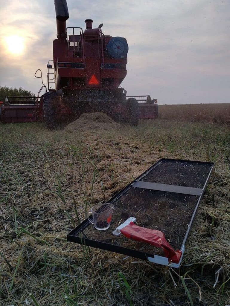 Measuring actual combine loss with a drop pan