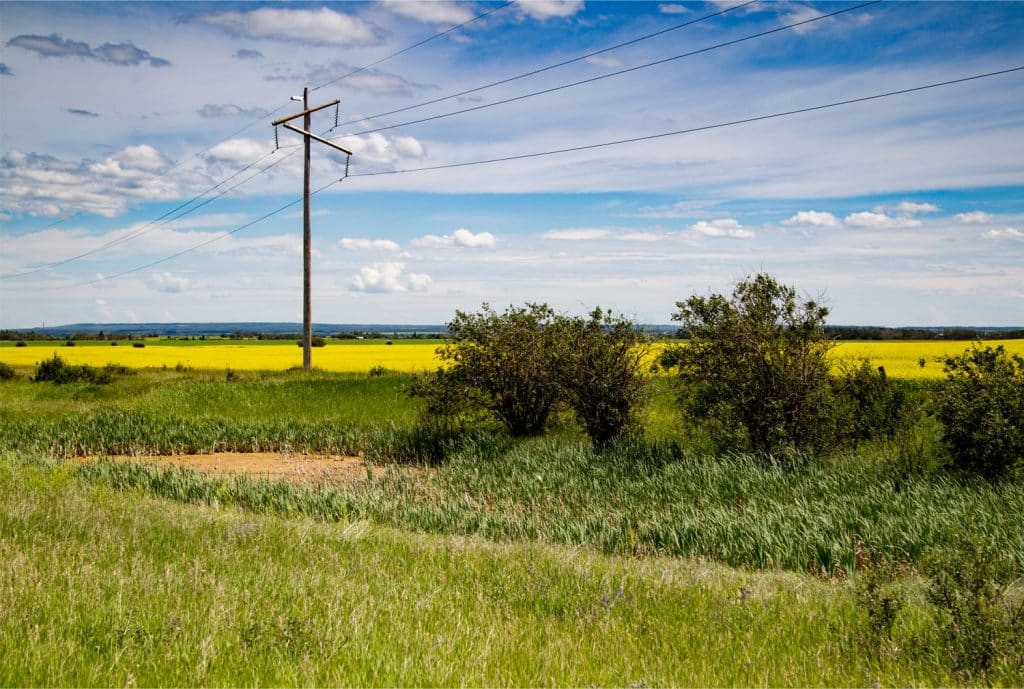 Natural spaces and wetlands in close to cropland 

