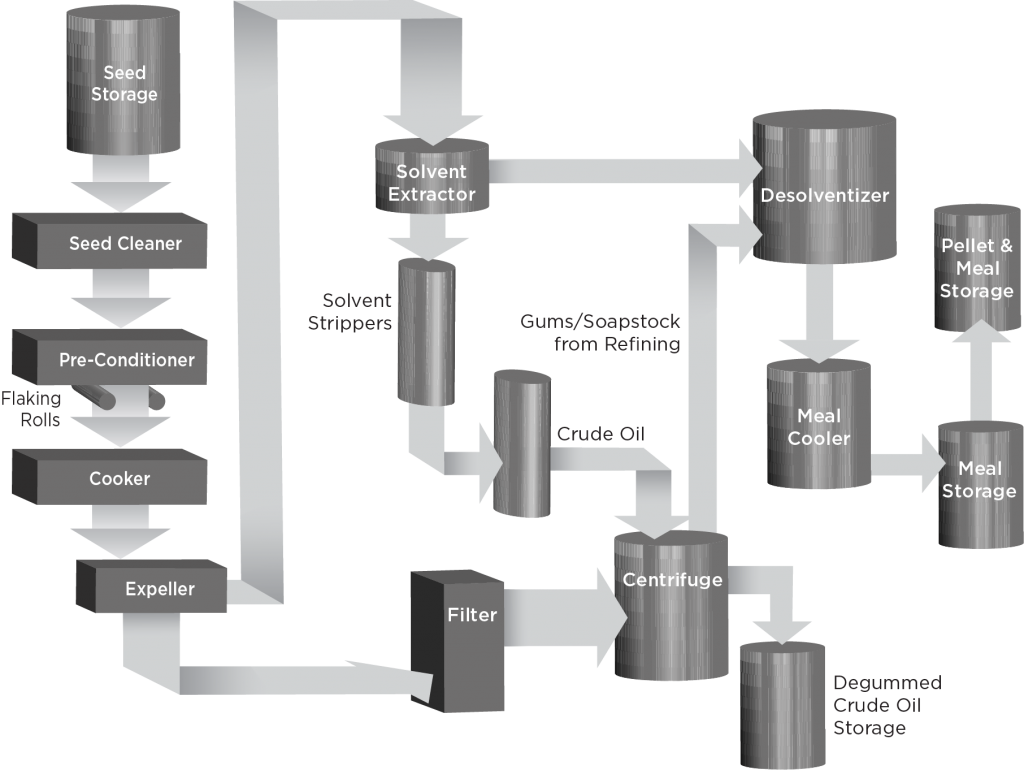 Diagram showing all stages of canola processing