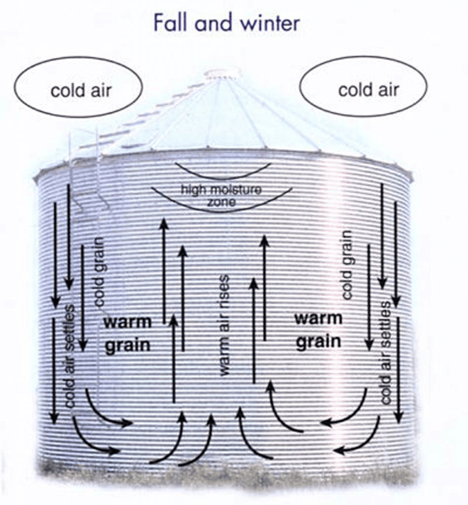 Bin moisture migration - cool months