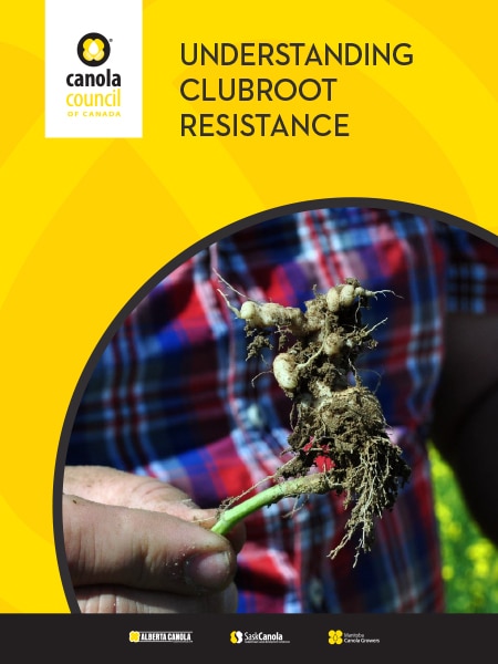 understanding clubroot resistance (guide)