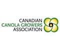 CCGA logo