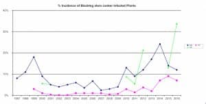 This graph shows the percentage of plants within surveyed fields that have blackleg symptoms.