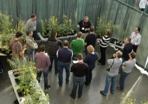 A scene from the original canoLAB.