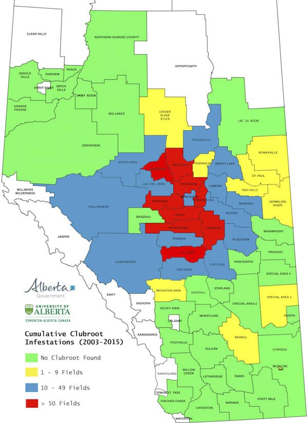 Alberta clubroot map 2003-15