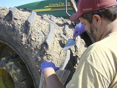Clubroot sanitation scrape Howard_opt