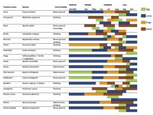 Cutworm lifecycle_opt Cutworm lifecycles by species