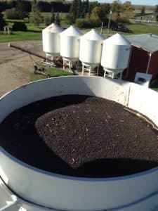 Full bin canola