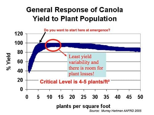 Graph plant pop and yield_opt
