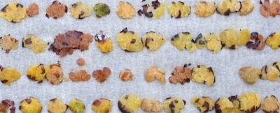 Heated canola, the brown burned seeds, mean an immediate downgrade.