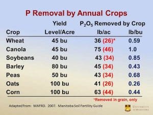 Canola removes more phosphate per bushel than any other major crop grown in Western Canada. Source: MAFRD