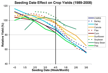 MASC yield-seeding date data