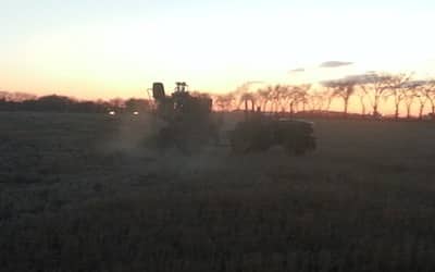 Seeding Lethbridge.