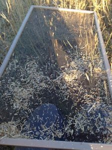 Screens can be handy to separate seed and chaff. Credit: Angela Brackenreed
