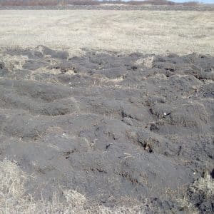 Tillage to prep forage and pasture land for spring seeding creates an almost unmanageable seedbed. 