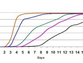 cold soils mean slow emergence
