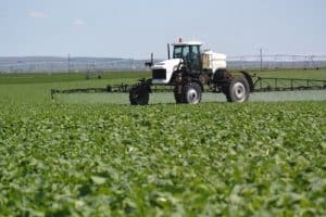 Sprayer in canola Cheri Jacobsen small