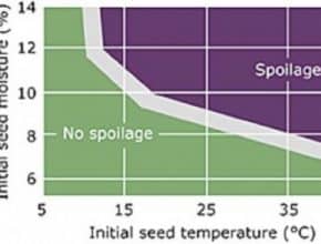 Safe storage chart for canola from the Canadian Grain Commission (2019) which states that canola spoilage occurs when initial seed temperature ranges from 10°C to 50°C with respective moisture from 12% to 7% moisture content.
