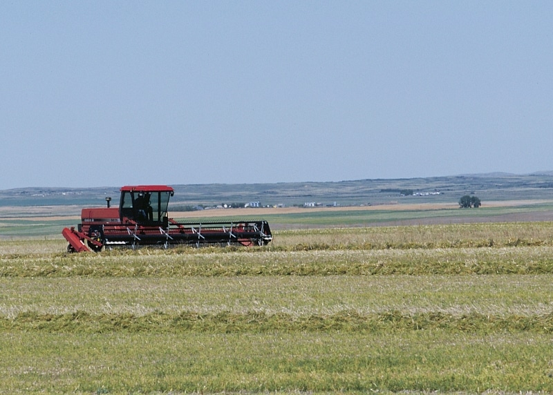 Swathing