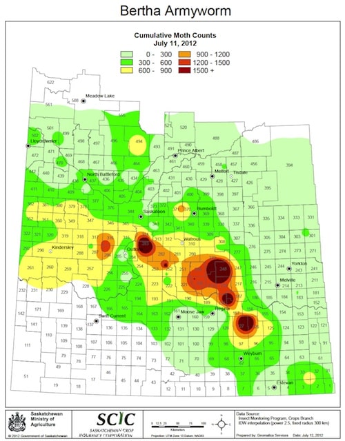bertha armyworm map, Sask