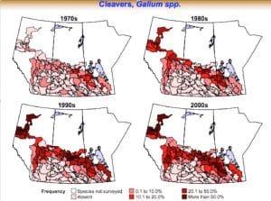 Cleavers movement across the Prairies. Source: Hugh Beckie, AAFC