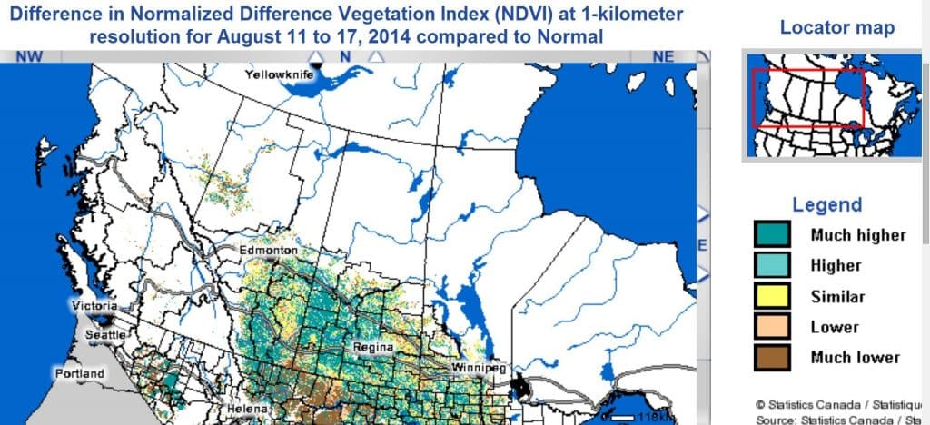 ndvi aug20