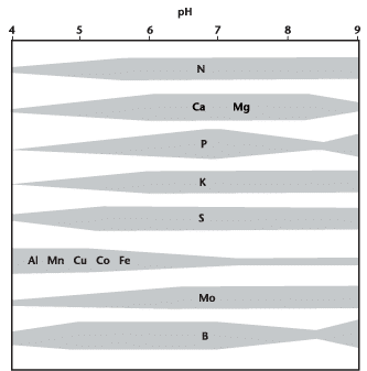pH and nutrient availability
