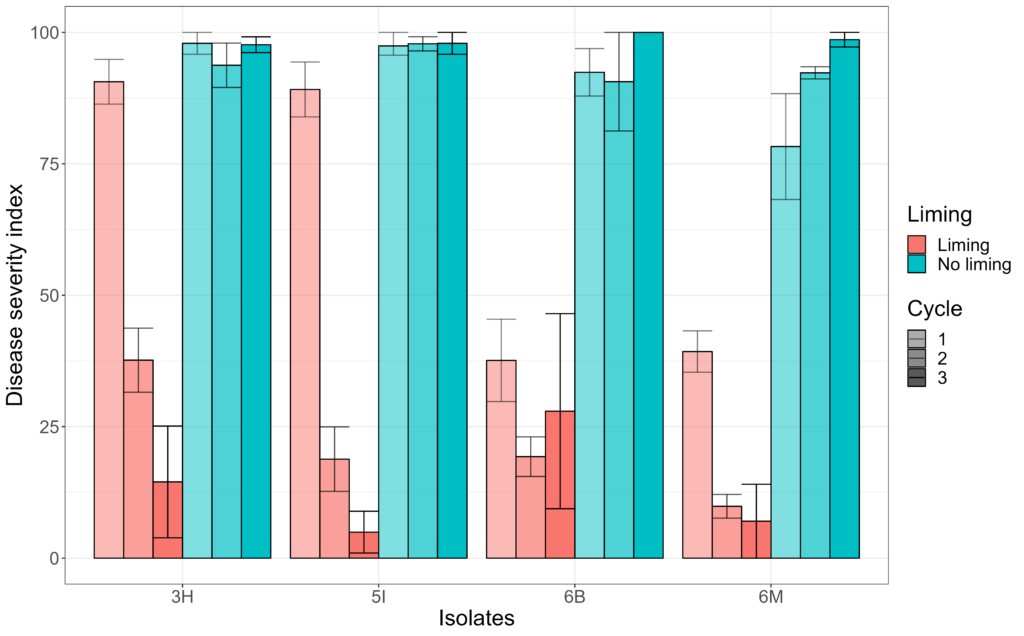 Graph of the effect of liming on the clubroot disease severity index from Strelkov's research project