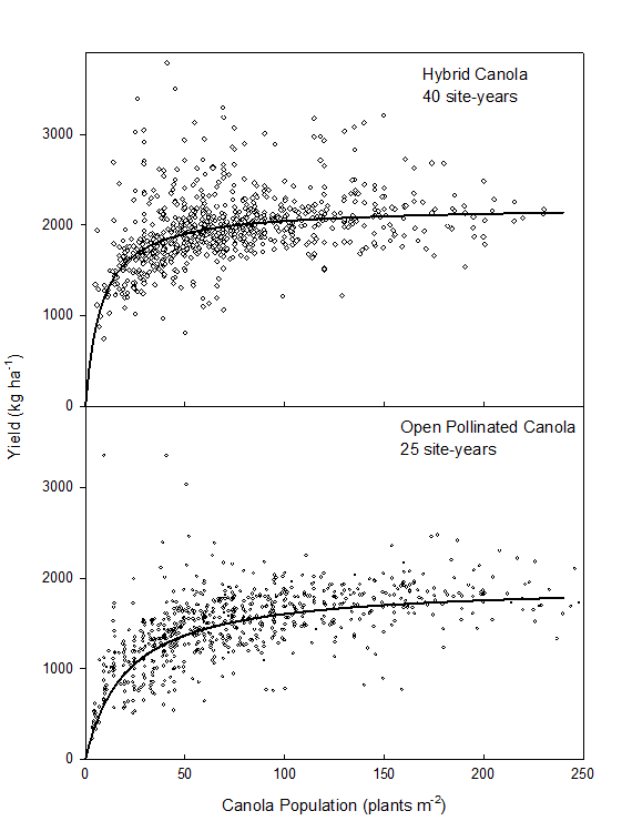 Shirtliffe population by yield