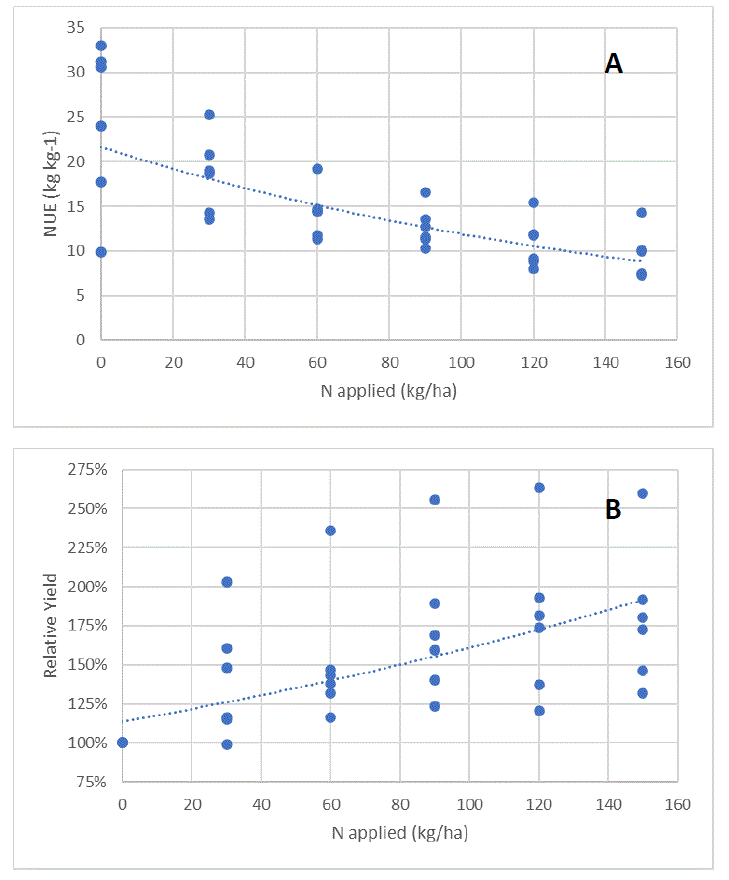 nitrogen efficiency and yield