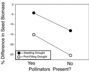 impact of pollinators on canola yield- Cartar study