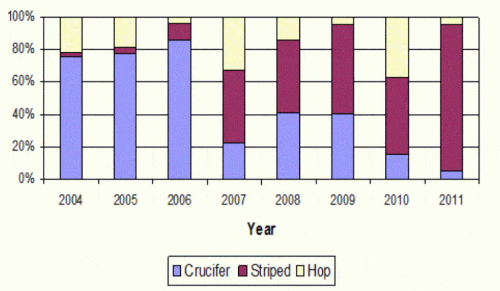 Flea beetle populations at Saskatoon 2004-2011