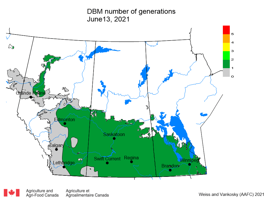 diamondback moth generation prediction map-2021