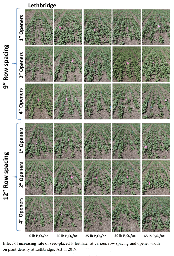 Mooleki phosphorus study image